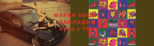 шишки Баксан