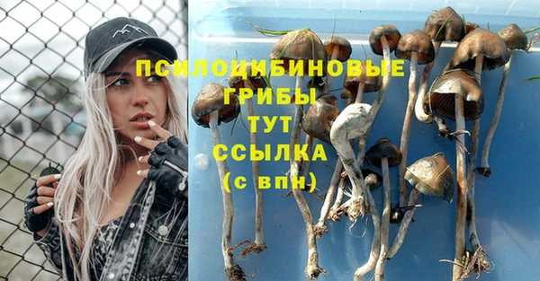 прущий лед Балабаново