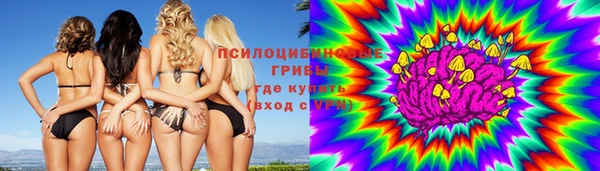 стаф Балахна