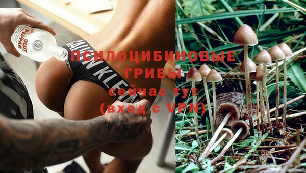 стаф Балахна