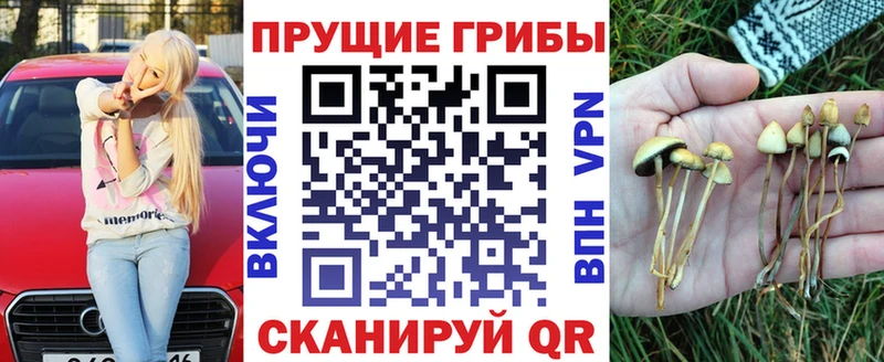 Псилоцибиновые грибы мицелий  дарнет шоп  Устюжна 